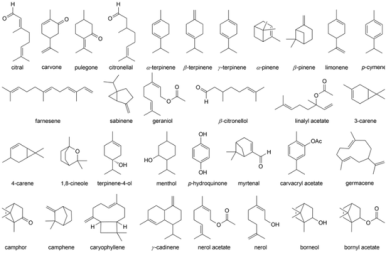 terpene structures