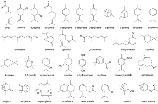 terpene structures